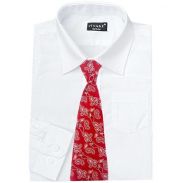 Boys White Formal Shirt & Red Paisley Tie